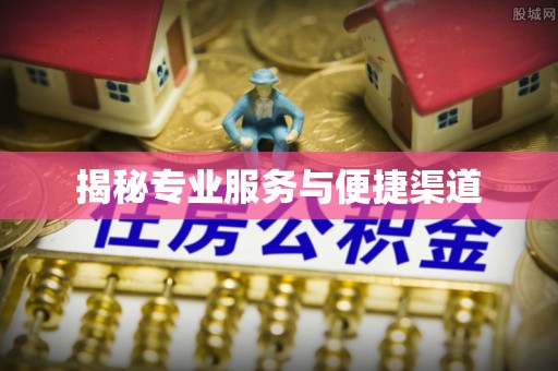 阳西揭秘专业服务与便捷渠道