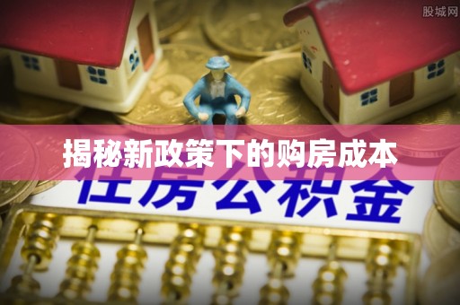 阳西揭秘新政策下的购房成本