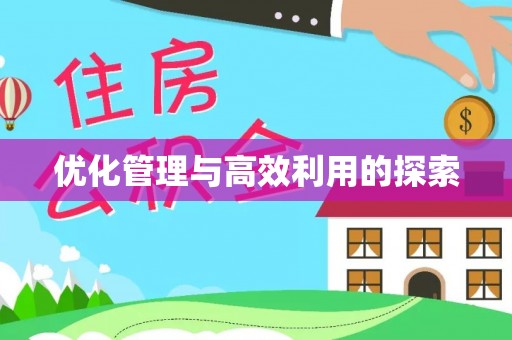 阳西优化管理与高效利用的探索
