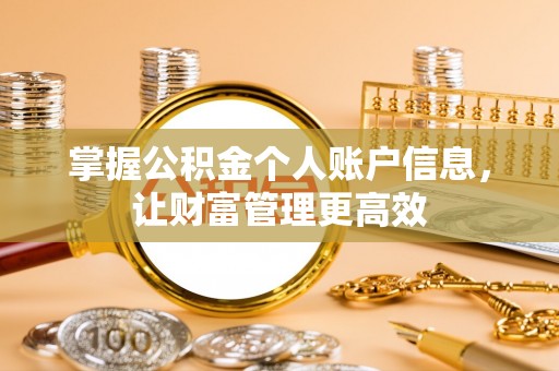 阳西掌握公积金个人账户信息，让财富管理更高效