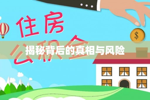 阳西揭秘背后的真相与风险