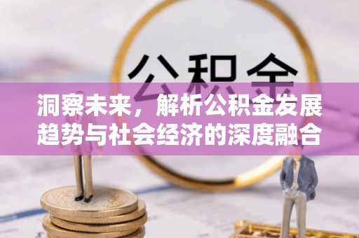 阳西洞察未来，解析公积金发展趋势与社会经济的深度融合