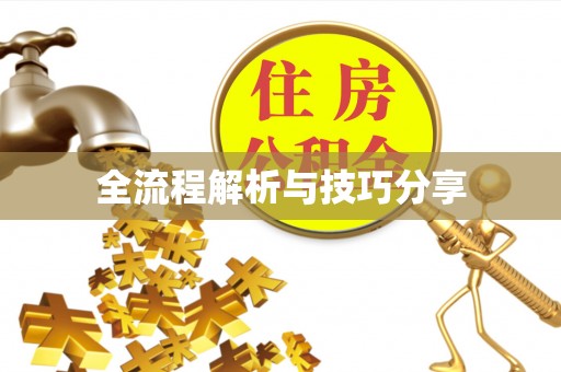 阳西全流程解析与技巧分享
